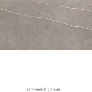 Плитка настінна Atlas Concorde Marvel 9P5M Silver Dream 30.5х56