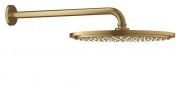 Верхний душ с тропическим душем Grohe коллекция Rainshower Cosmopolitan матовый холодный рассвет 26066GN0