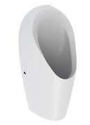 Пісуар Geberit Tamina безводний білий 116.141.00.1