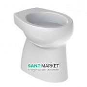 Унитаз напольный детский Roca Baby 29.5х38.5 с вертикальным выпуском керамика белый A344PB8000