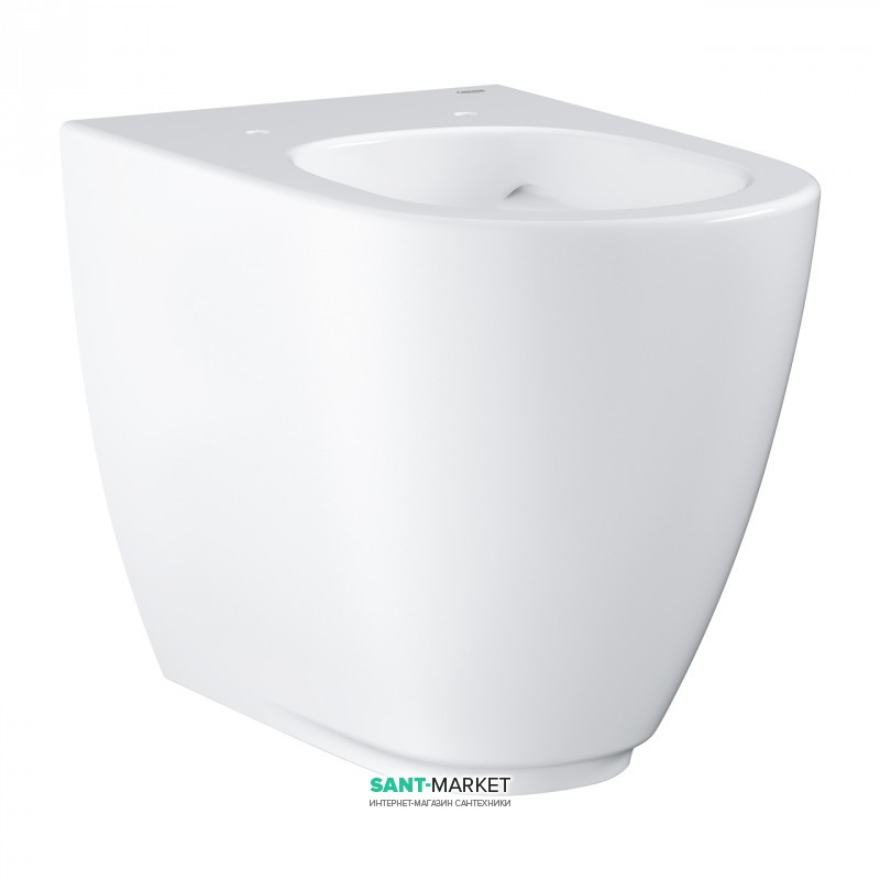 Унитаз Grohe Essence напольный без бачка альпийский белый 3957300H