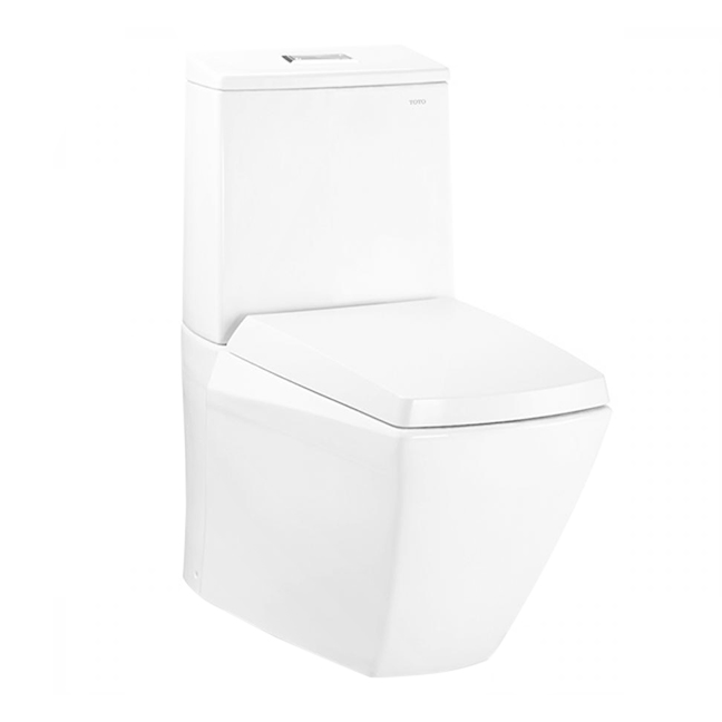 Унітаз підлоговий TOTO Jewelhex без сидіння і бачка білий CW680PB