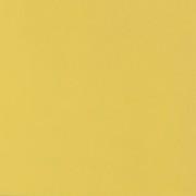 Плитка керамогранит Zeus Ceramica Absolute Yellow 60х60 см ZRXK11BR