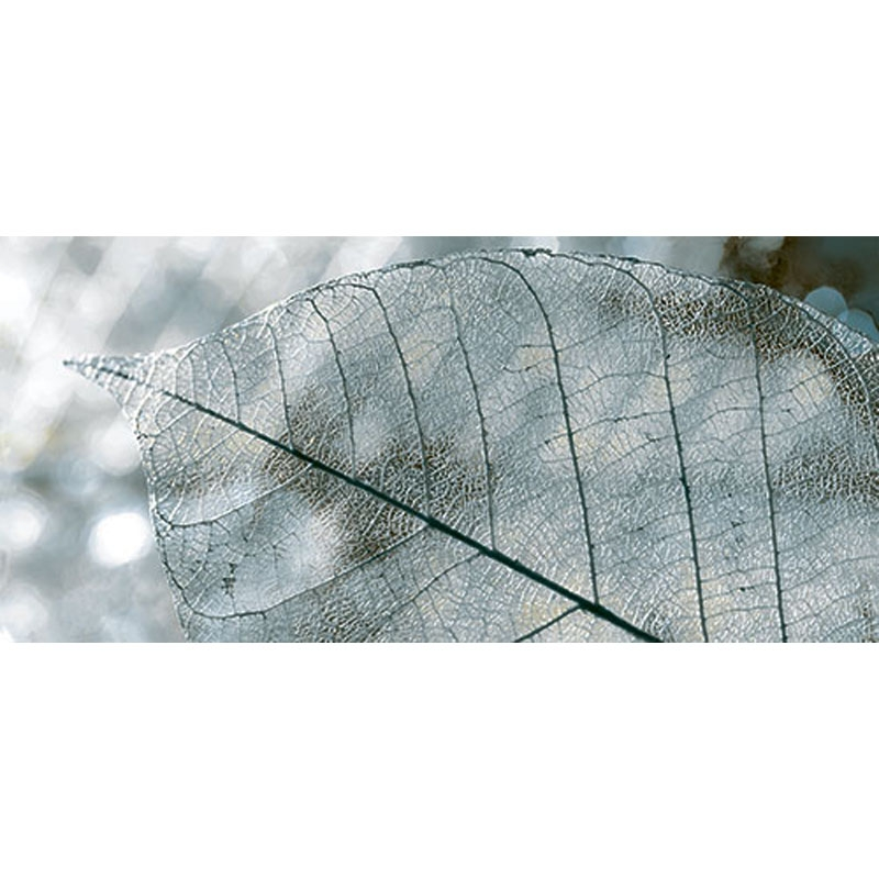 Декор InterCerama Magia 50х23 см серый 071 456505