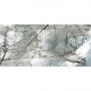 Декор InterCerama Magia 50х23 см серый 071-1 456506