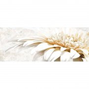 Бордюр InterCerama Illusione 60х7 см серый 071 458605