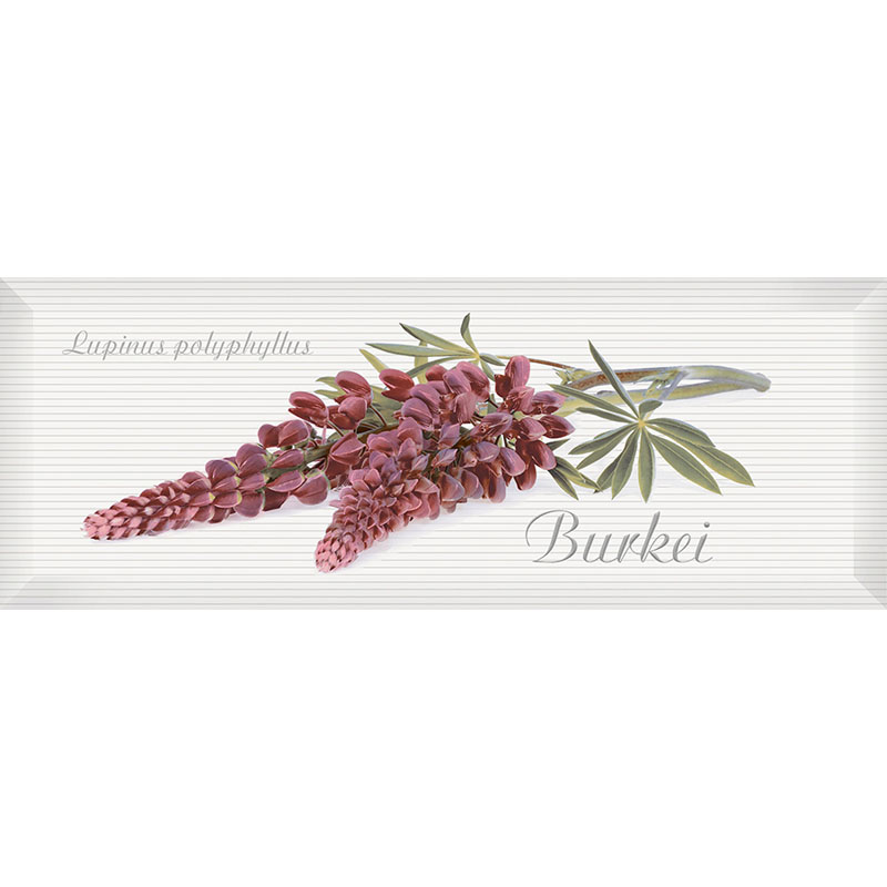 Декор InterCerama Pergamo 40х15 см белый 061-4 095911