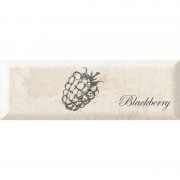 Декор Monopole Ceramica Fruit Mistral Blackberry 30х10 см 267202