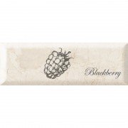 Декор Monopole Ceramica Fruit Mistral Blackberry 30х10 см 267202