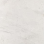 Плитка керамогранит Cerpa Bolonia Gris 58,5х58,5 см 083407