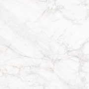 Плитка керамогранит Nowa Gala Frost White White poler 59,7х59,7 см 5900423036080