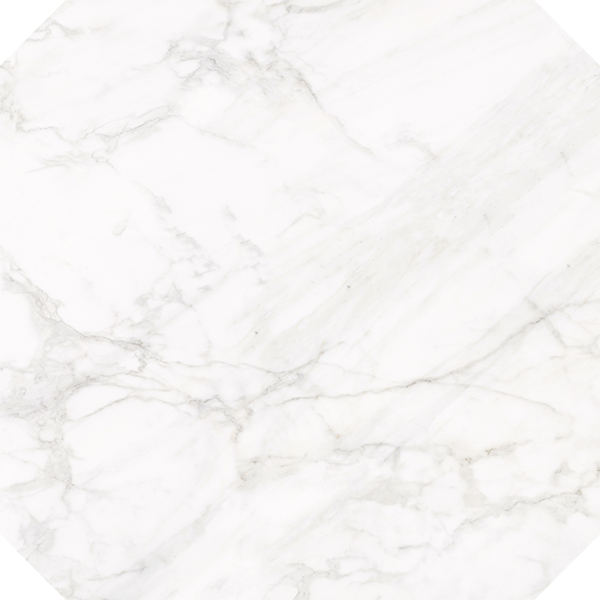 Плитка керамограніт Nowa Gala Frost White White dekor poler 59,7х59,7 см 5900423036387