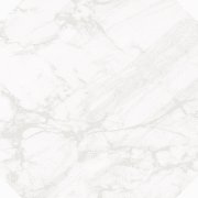 Плитка керамогранит Nowa Gala Frost White White dekor poler 59,7х59,7 см 5900423036387