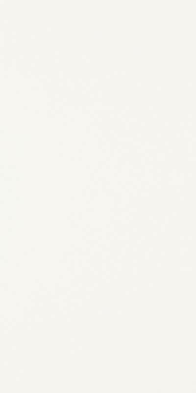 Плитка настенная Paradyz Synergy Bianco Sciana 30х60 см S---300X600-1-SYNE.BI