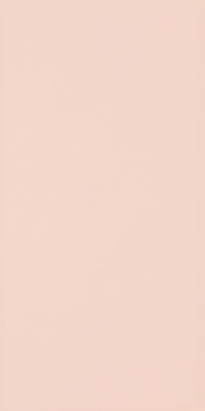 Плитка настінна Paradyz Synergy Coral Sciana 30х60 см S---300X600-1-SYNE.CO