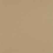 Плитка керамограніт Paradyz Basic Beige Szkl. Rekt. Mat. 2.0 59,5х59,5 см R-R-595X595-1-BASI.BE20