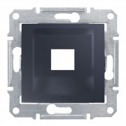 Накладка одномодульная RDM Schneider Electric Sedna КАТ5Е 6 UTP графит SDN4300470