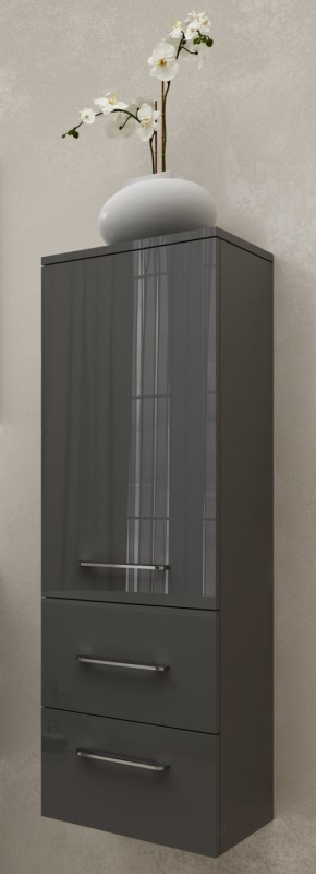 Пенал для ванной Marsan Regine 1200х350х350 см МДФ графит глянец REGINE120Х35графит