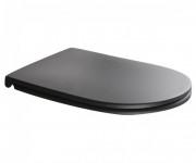Сиденье с крышкой для унитаза Axa DP slim soft-close черный матовый AF8407
