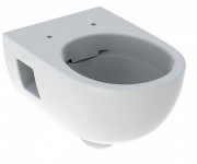 Унитаз подвесной Geberit Selnova безободковый 36х53 см фарфор белый 501.545.01.1