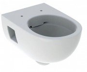 Унитаз подвесной Geberit Selnova безободковый 36х53 см фарфор белый 501.545.01.1