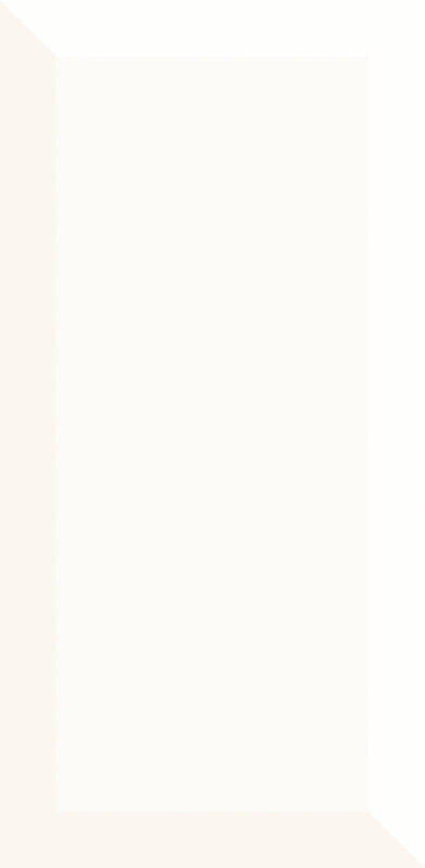 Плитка настінна Paradyz Tamoe Bianco глянцева 9,8х19,8 см S-K-098X198-1-TAMO.BI