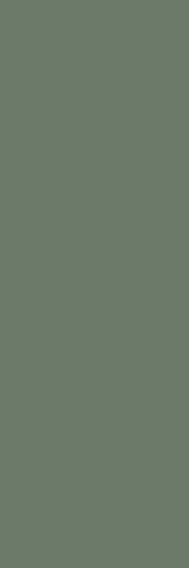 Плитка настенная Paradyz Nightwish Green 25х75 см S-R-250X750-1-NIGH.GN