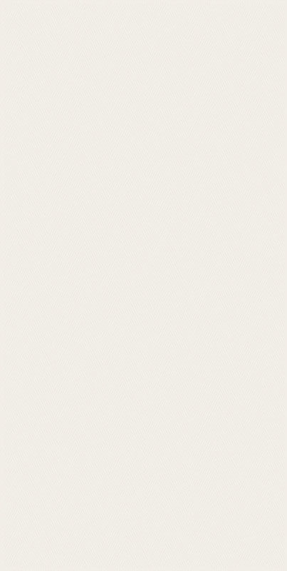 Плитка настінна Paradyz Calm Silver Dekor глянсова 29,8х59,8 см S-R-298X598-1-CALM.SIDE