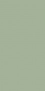 Плитка настенная Paradyz Feelings Green 29,8х59,8 см S-R-298X598-1-FEES.GN