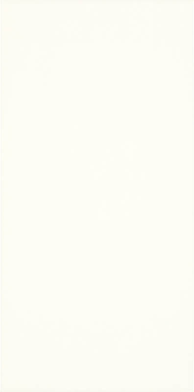 Плитка настенная Paradyz Moonlight Bianco 29,8х59,8 см S-R-295X595-1-MOON.BI-NEB