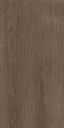 Плитка настінна Paradyz Domus Brown 30х60 см S---300X600-1-DOMU.BR---2