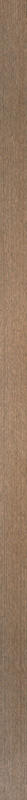 Фриз Paradyz Uniwersalna Listwa Metalowa Gold 2х60 см L---020X600-1-UNIW.GOME