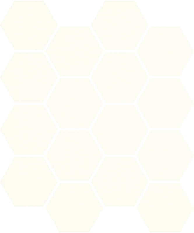 Мозаїка Paradyz Uniwersalna Mozaika Prasowana Bianco Hexagon 22х25,5 см M-P-220X255-1-UNIW.BIHE