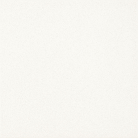 Плитка керамогранит Paradyz Gammo Bialy Gres Szkl. Mat. 19,8х19,8 см R---198X198-1-GAMO.BI