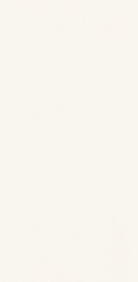 Плитка настенная Paradyz Gamma Bianco матовая 9,8х19,8 см S---098X198-1-GAMA.BI---M