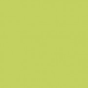 Плитка настенная Paradyz Gamma Seledynowa матовая 19,8х19,8 см S---198X198-1-GAMA.SE---M