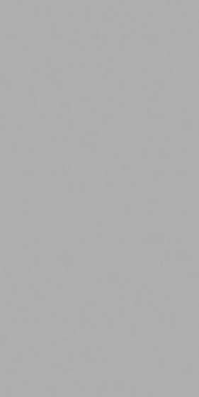 Плитка настінна Paradyz Gamma Szara Polysk глянсова 9,8х19,8 см S---098X198-1-GAMA.SZ---B