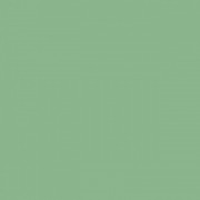 Плитка настінна Paradyz Gamma Zielona Polysk глянсова 19,8х19,8 см S---198X198-1-GAMA.ZI---B