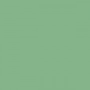 Плитка настенная Paradyz Gamma Zielona матовая 19,8х19,8 см S---198X198-1-GAMA.ZI---M