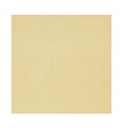 Плитка керамогранит Paradyz Gammo Bezowy Gres Szkl. Mat. 19,8х19,8 см R---198X198-1-GAMO.BE