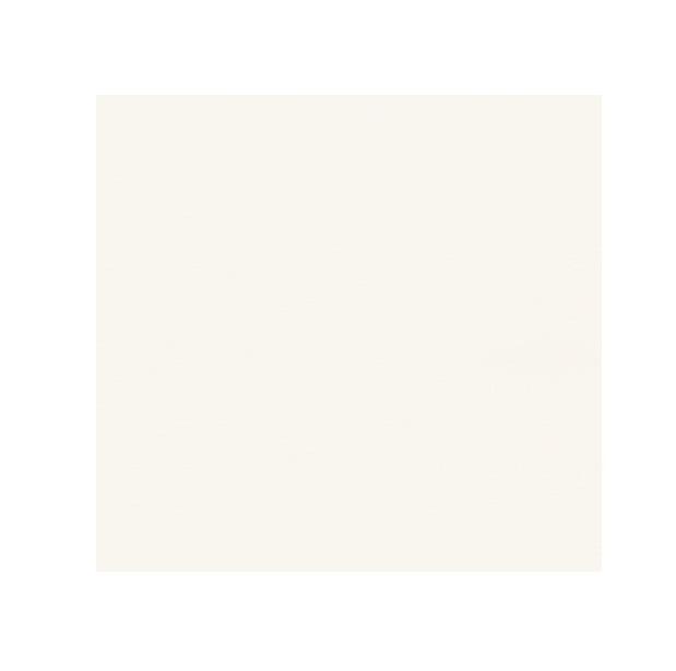 Плитка настенная Paradyz Gamma Bianco матовая 19,8х19,8 см S---198X198-1-GAMA.BI---M