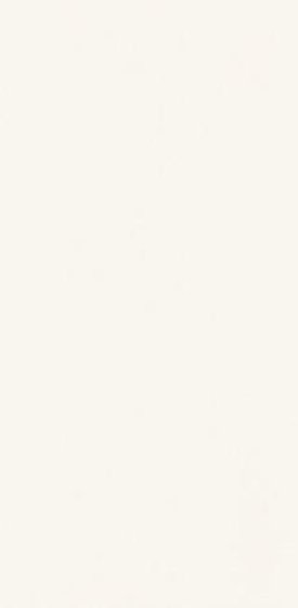 Плитка настінна Paradyz Gamma Bianco матова 9,8х19,8 см S---098X198-1-GAMA.BI---M