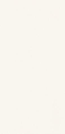 Плитка настінна Paradyz Gamma Bianco Polysk глянсова 9,8х19,8 см S---098X198-1-GAMA.BI---B