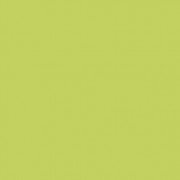 Плитка настенная Paradyz Gamma Seledynowa матовая 19,8х19,8 см S---198X198-1-GAMA.SE---M