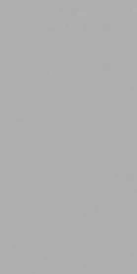 Плитка настенная Paradyz Gamma Szara матовая 9,8х19,8 см S---098X198-1-GAMA.SZ---M