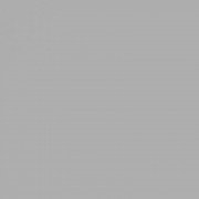 Плитка настенная Paradyz Gamma Szara Polysk глянцевая 19,8х19,8 см S---198X198-1-GAMA.SZ---B