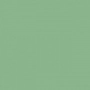 Плитка настенная Paradyz Gamma Zielona Polysk глянцевая 19,8х19,8 см S---198X198-1-GAMA.ZI---B