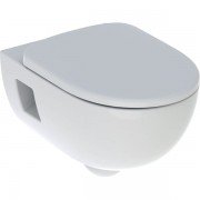 Унитаз подвесной Geberit Selnova 36х53 см с сидением с крышкой белый 501.750.00.1