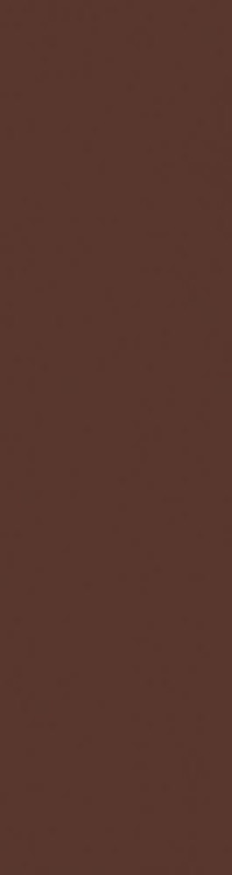 Плитка клинкер Paradyz Natural Brown Elewacja 6,5х24,5 см Z---245X066-1-NATU.BR---3