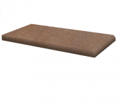 Подоконник Paradyz Scandiano Rosso Parapet 10х20 см Z---200X100-1-SCAN.RO